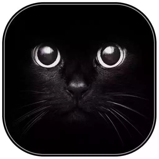 Run free android online Black Live Wallpaper APK Run free android online Black Live Wallpaper APK