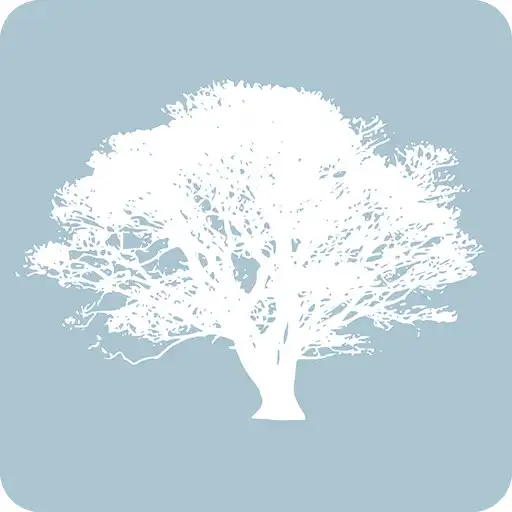 Free play online Black Oak Mine USD APK