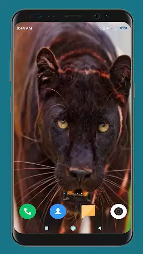Play Black Panther HD Wallpaper  and enjoy Black Panther HD Wallpaper with UptoPlay