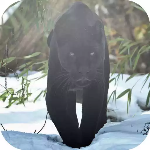 Free play online Black Panther Lock Screen APK Free play online Black Panther Lock Screen APK