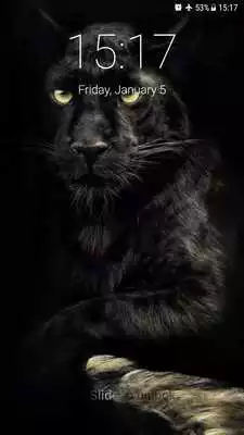Play Black Panther Lock Screen
