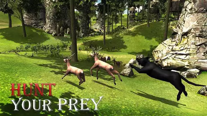 Play Black Panther Simulator 3D