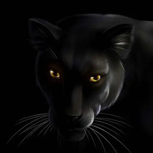 Play Black panther wallpaper APK Play Black panther wallpaper APK