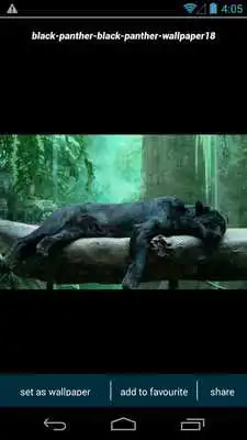 Play Black Panther Wallpapers