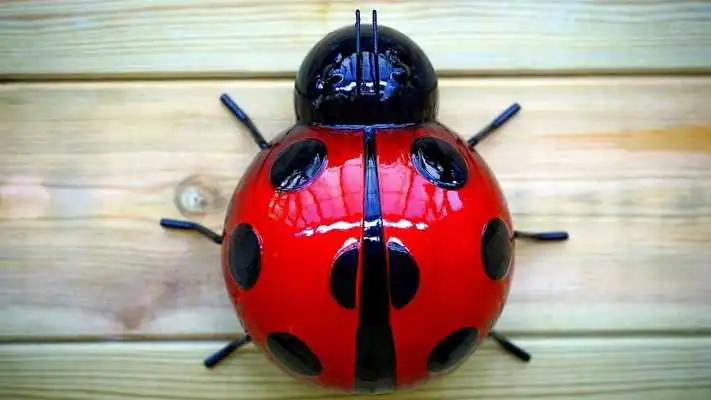 Play Black Red Wallpaper