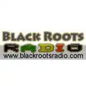 Free play online Black Roots Radio APK