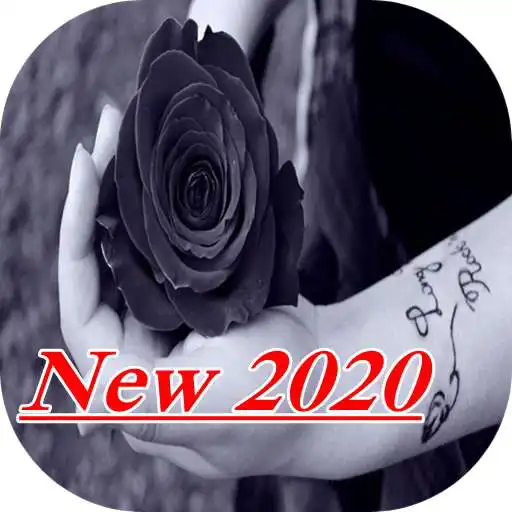 Play Black Rose Wallpaper 2020 APK