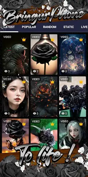 Play Black Rose Wallpaper as an online game Black Rose Wallpaper with UptoPlay
