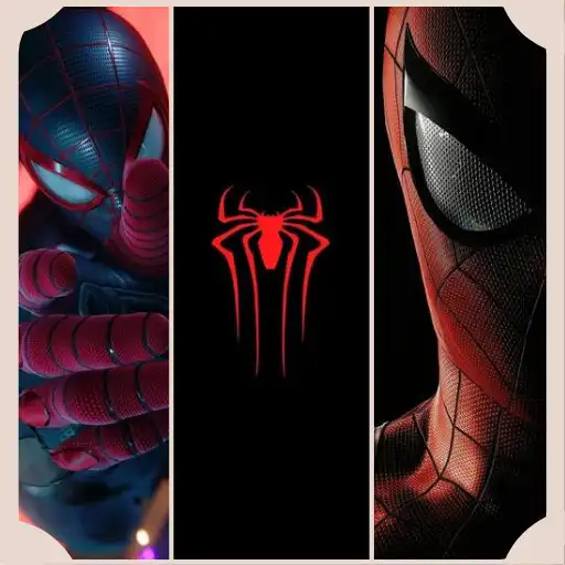 Play Black spider wallpaper 4k APK