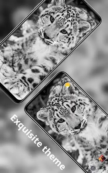 Play Black Tiger Gods Gaze theme Animals Snow Winter  and enjoy Black Tiger Gods Gaze theme Animals Snow Winter with UptoPlay