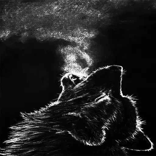 Play Black Wallpaper HD APK Play Black Wallpaper HD APK