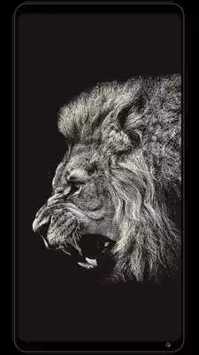 Play Black Wallpapers Backgrounds (4K HD) Play Black Wallpapers Backgrounds (4K HD)