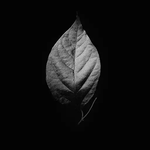 Play Black Wallpapers - Black & Dark APK Play Black Wallpapers - Black & Dark APK
