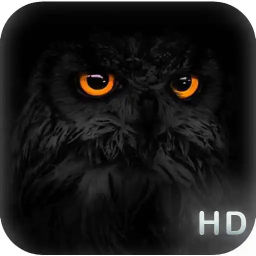 Play Black Wallpapers : Dark, Amoled APK