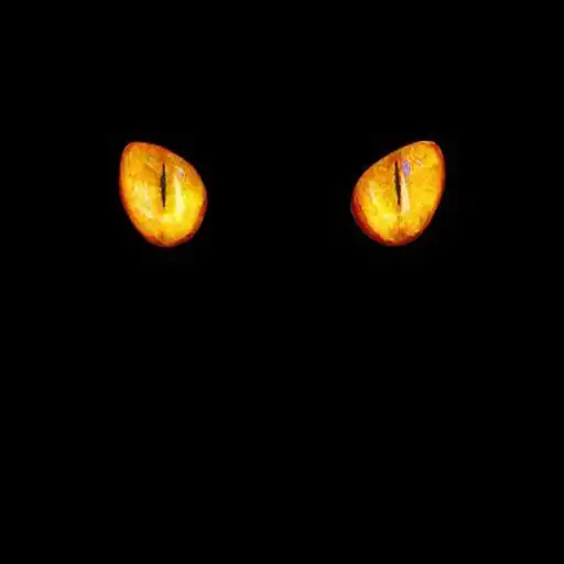 Play Black wallpapers HD application APK