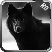 Free play online Black Wolf Pack 3 Wallpaper APK