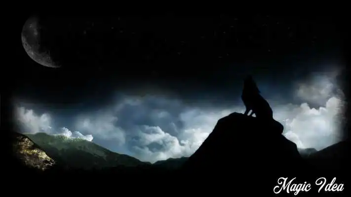 Play Black Wolf Pack 3 Wallpaper