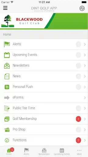Play Blackwood Golf Club as an online game Blackwood Golf Club with UptoPlay