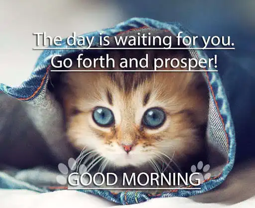 Play BLESSED GOOD MORNING WISHES AND QUOTES as an online game BLESSED GOOD MORNING WISHES AND QUOTES with UptoPlay