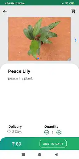 Play Blind Tree as an online game Blind Tree with UptoPlay
