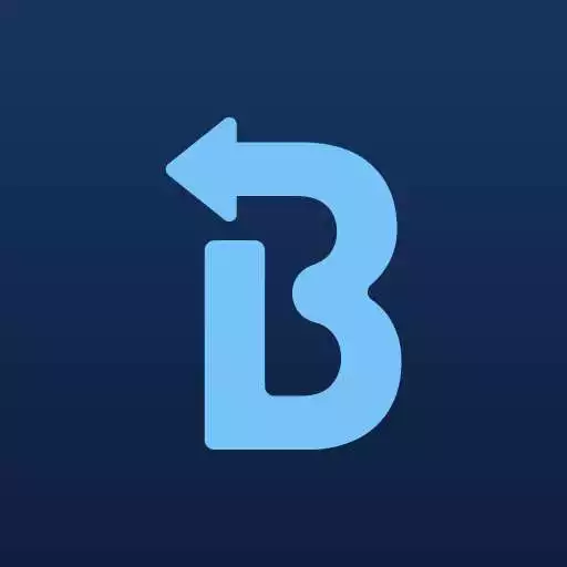 Play Blink Driver APK