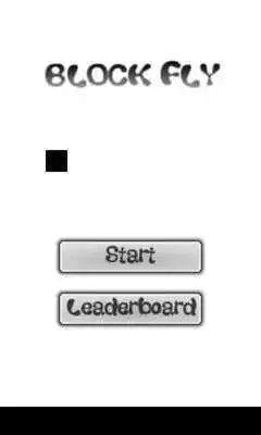 Play Block Fly