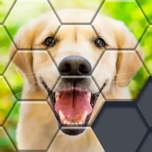 Play Block Hexa Puzzle - jigsaw puzzles for free APK
