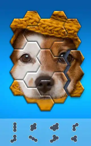 Play Block Hexa Puzzle - jigsaw puzzles for free as an online game Block Hexa Puzzle - jigsaw puzzles for free with UptoPlay