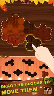 Play Block Hexa Woody Puzzle - Wood Hexablock Puzzle