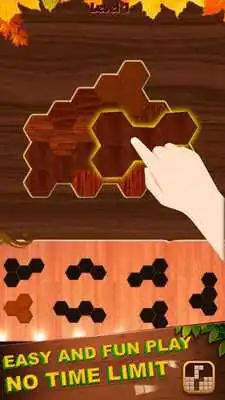 Play Block Hexa Woody Puzzle - Wood Hexablock Puzzle