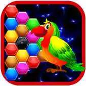 Free play online block puzzle !hexa jewel APK