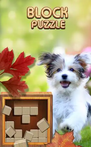 Play Block Puzzle Wood 1010: Classic Free puzzledom  and enjoy Block Puzzle Wood 1010: Classic Free puzzledom with UptoPlay
