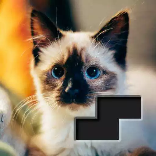 Play Block Square Jigsaw Puzzle APK Play Block Square Jigsaw Puzzle APK