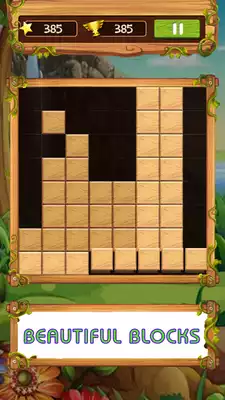 Play Block Wood Puzzle 2019