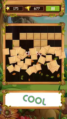 Play Block Wood Puzzle 2019