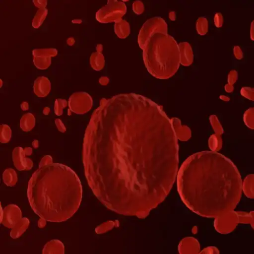 Play Blood Cells Live Wallpaper Pro APK Play Blood Cells Live Wallpaper Pro APK