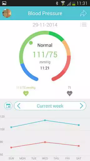 Play Blood Pressure DayBook