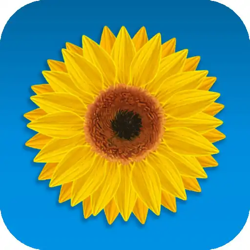 Play Bloom APK