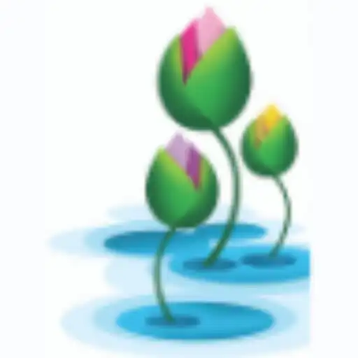 Play Blooming Buds Preschool and Ac APK Play Blooming Buds Preschool and Ac APK