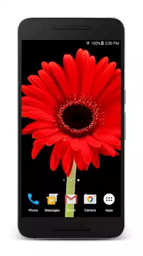 Play Blooming Flowers as an online game Blooming Flowers with UptoPlay