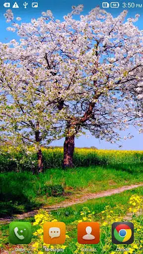 Play Blooming Gardens Wallpapers  and enjoy Blooming Gardens Wallpapers with UptoPlay