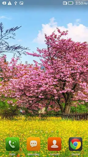 Play Blooming Gardens Wallpapers as an online game Blooming Gardens Wallpapers with UptoPlay