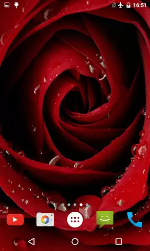 Play Blooming Rose 3D Wallpaper