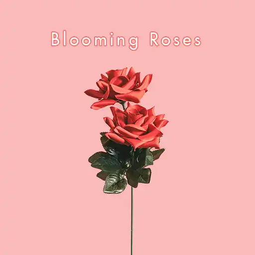 Play Blooming Roses Theme +HOME APK