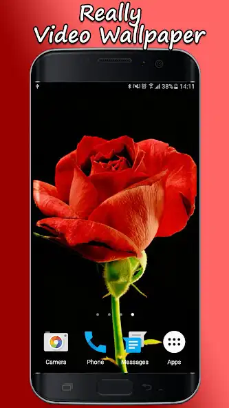 Play Blooming Roses Video Wallpaper  and enjoy Blooming Roses Video Wallpaper with UptoPlay