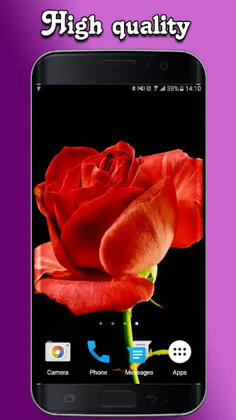 Play Blooming Roses Video Wallpaper as an online game Blooming Roses Video Wallpaper with UptoPlay