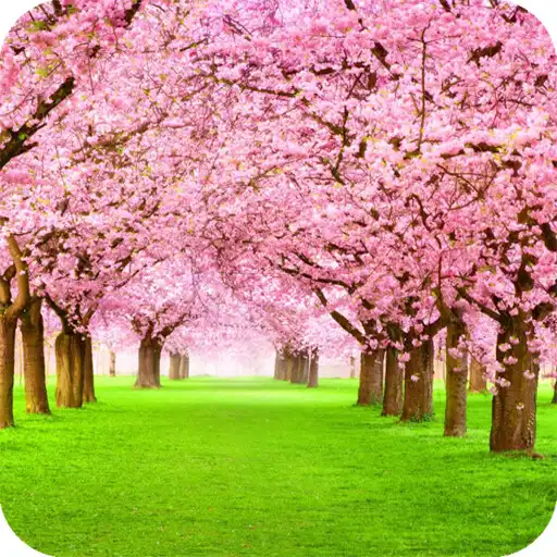Play Blooming Tree Wallpaper APK