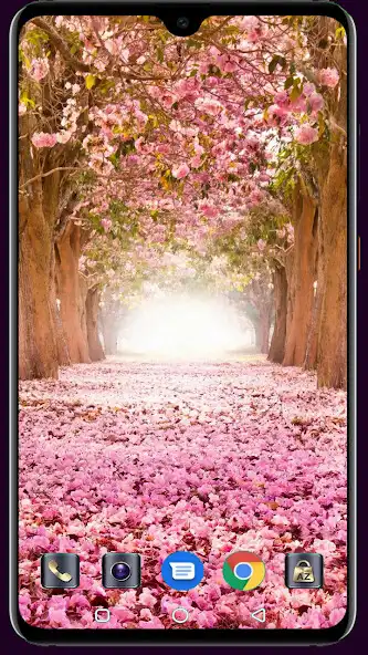 Play Blooming Tree Wallpaper  and enjoy Blooming Tree Wallpaper with UptoPlay