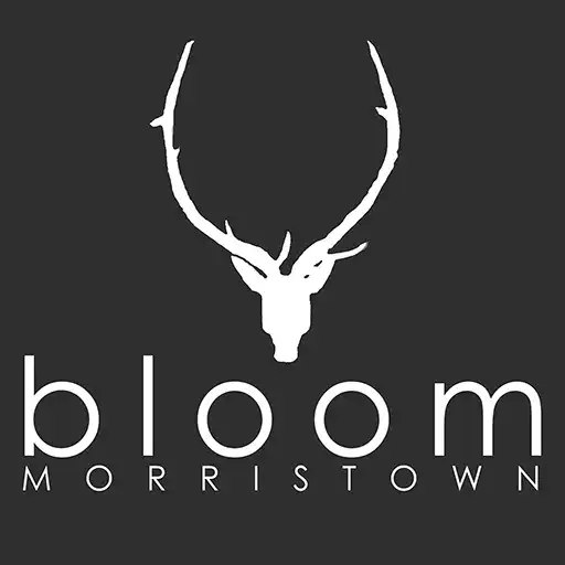 Play Bloom Morristown Team App APK Play Bloom Morristown Team App APK