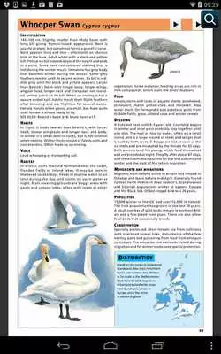 Play Bloomsbury Bird Guides